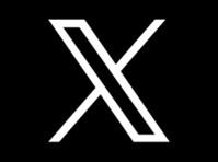 公式X
